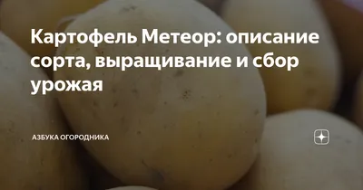 Семенной картофель