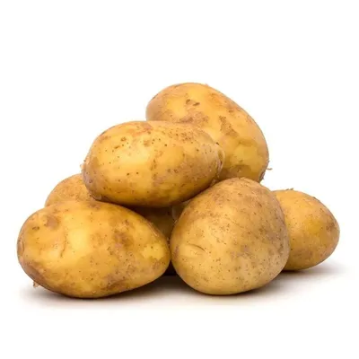 Продается картошка Пикассо для семян (картофель: 25 KGS ➤ Картошка | Тюп |  46049117 ᐈ lalafo.kg