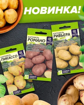 Сбор заявок на семенной картофель - Agrolead