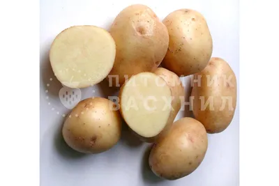 Семенной картофель Фаворит 2 кг - купить в Москве, цены на Мегамаркет