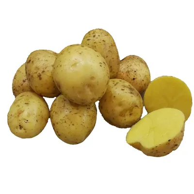 Семенной картофель Фотиния (Элита) купить в Украине | Веснодар