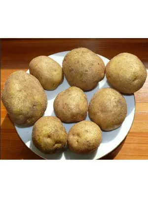 Картофель семенной Винета - купить по низкой цене с доставкой