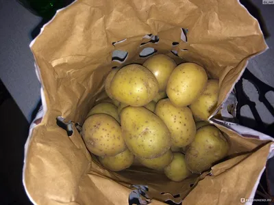 Плявниеки (Pļavnieki) | Вкусная картошка Винета выращеная в Латвии, слегка  рассыпчатая | Facebook
