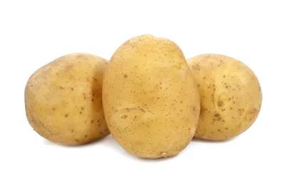 картофель сорт Винета с одного куста 28 ,больших картошек - YouTube