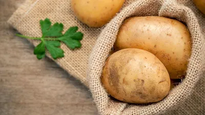 Продам картофель Венета, купить картофель Венета, Москва — Agro-Russia