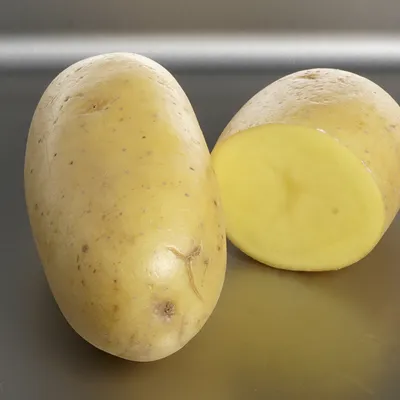 Картофель Садон | Сорта картофеля