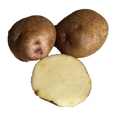 Как и сколько варить картошку: способы варки картофеля в мундире: Еда: Из  жизни: Lenta.ru