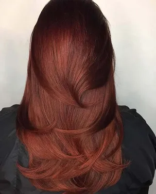 Краска для волос Garnier Color Sensation 6.35 Золотисто-каштановый – купить  в Киеве | цена и отзывы в MOYO