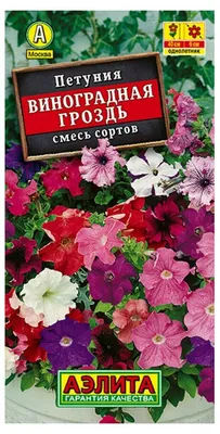 Семена Цветов Петуния каскадная Нивола Бургунд F1, 5 драже (9395716) -  Купить по цене от 78.00 руб. | Интернет магазин SIMA-LAND.RU