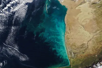 Каспийское море фото со спутника 81 фото