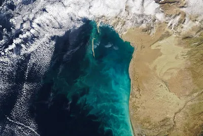NASA показало спутниковые снимки «молочных вихрей» в Каспийском море — РБК