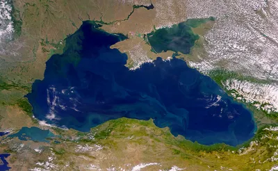 Мелеет на глазах: быстрое высыхание Каспия зафиксировали в Туркменистане