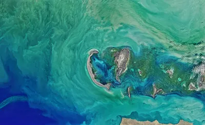 Каспийское море и залив Кара-Богаз-Гол (фото) | Космонавт Олег Артемьев