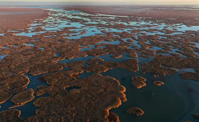 Каспийское море рекордно обмелело из-за глобального изменения климата -  Recycle
