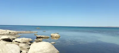 Волга впадает в Каспийское море...\"