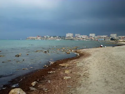 Каспийское море» — создано в Шедевруме