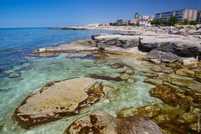 В Казахстане создали институт Каспийского моря ⋆ НИА \"Экология\" ⋆