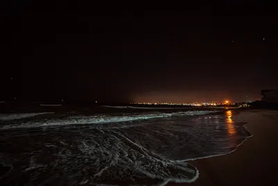 бережка пляж махачкала каспийское море россия серый рассвет Стоковое Фото -  изображение насчитывающей горизонт, природа: 227420782