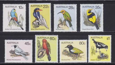 Птицы на почтовых марках. Почтовые марки птицы. Каталог, цены, филателия |  Интернет-магазин почтовых марок «Антарес»