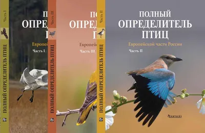Полный определитель птиц Европейской части России
