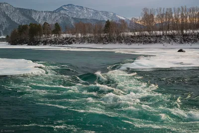 Горный Алтай Река Катунь Россия - Бесплатное фото на Pixabay - Pixabay