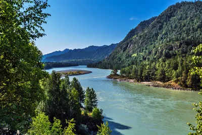 Больше 50 бесплатных фотографий на тему «Река Катунь» и «»Алтай - Pixabay