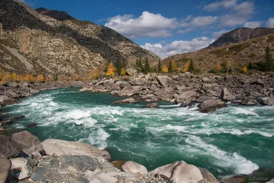 Река Катунь – хозяйка алтайских гор - Сибирские богатства