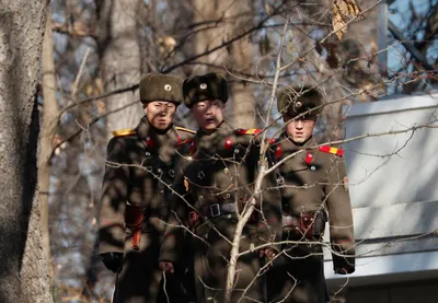 В Северной Корее обнаружены сотни полигонов для публичных казней - Delfi RU