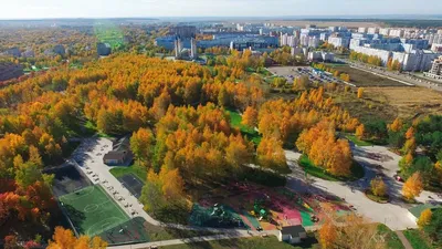 Знакомство с кедровым лесом. Фотограф Андрей