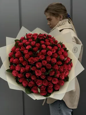 101 кенийская роза в красивой упаковке доставка в Красноярске | ФлоРум24