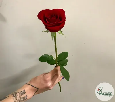 51 кенийская роза микс (40см) с доставкой по Перми | Elza59.ru