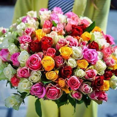 51 розовая кенийская роза в упаковке доставка в Улан-Удэ | Цветочная лавка