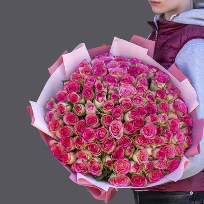 101 розовая кенийская роза «Нить Ариадны» купить в Химках в Букет-Элит