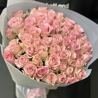 101 розовая кенийская роза 40 см доставка в Красноярске | ФлоРум24