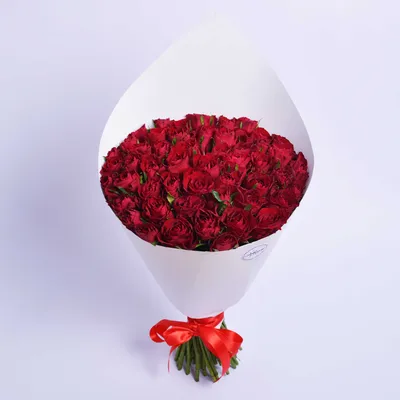 101 Красно-белая Кенийская Роза 40 см Купить с Доставкой в Москве Недорого