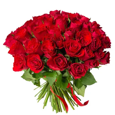 Заказать 51 красная кенийская роза 40см в Москве и МО - цена 4350 руб,  бесплатная доставка от «Букет лета».