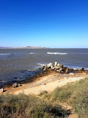 Крым азовское море Казантипский залив отдых в Новоотрадном