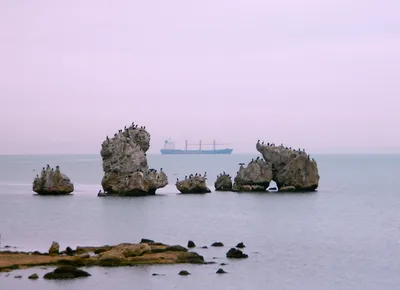 Гостиница Жемчужина моря, Керчь, цены от 3900 руб. у моря с бассейном |  Забронировать на сайте 101Hotels.com