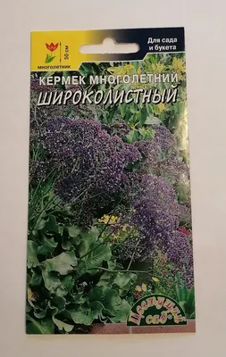Статица Кермек (Лимониум) розовый купить семена кермека Moravoseed |  доставка почтой по Украине