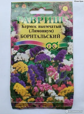 Цветы Кермек Розовое сияние 0,1 г : Полтавское - семена купить в Киеве,  Украине фото, отзывы, описание - Дачник