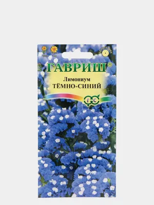 Кермек (Статица) Квис Блю Пеил (Qis Blue Pale) семена купить в Украине |  Веснодар
