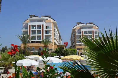 10 лучших отелей и гостиниц с пляжем в Флорида-Кис - Tripadvisor