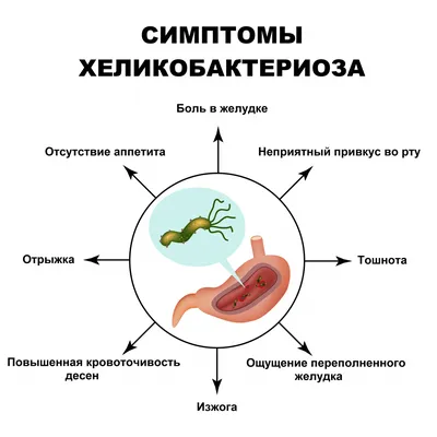 Хеликобактериоз - причины появления, симптомы заболевания, диагностика и  способы лечения