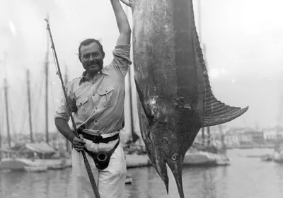 Синий марлин, или что за рыбу ловил Хемингуэй и его герои | Пикабу