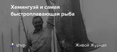 Глупо терять надежду…»: к 70-летию повести Э. Хемингуэя | ВКонтакте