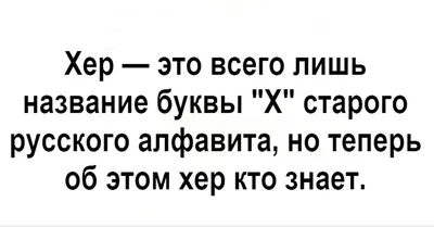 Свитшот \"Хер вам, а не Херсон\" — BeriDari, акция действует до 29 февраля  2024 года | LeBoutique — Коллекция брендовых вещей от BeriDari — 6379080