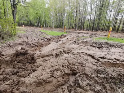 Вдоль канала в Химках и в Химкинский лес