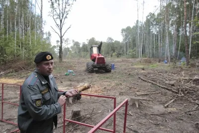 Город на память». 695. МКАД. 76-80 км. Левобережный – Химкинский лес -  Русский блоггер