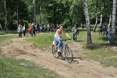 Химкинский лес сменил \"вывеску\" | Экооборона Московской области