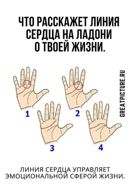 Что расскажет линия сердца на ладони о твоей жизни. | Высокие цены, Сердце,  Психология